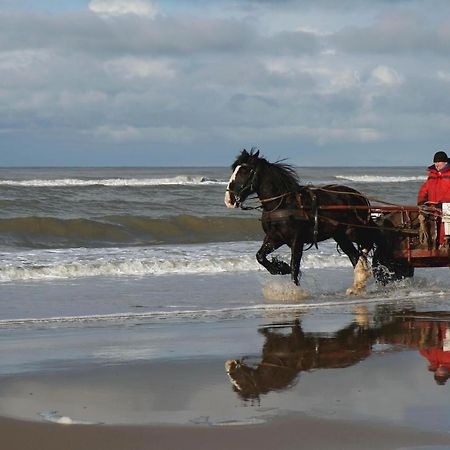 Centraal Aan Zee Apartman Egmond aan Zee Kültér fotó