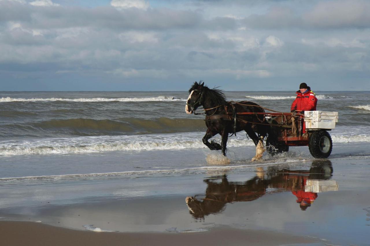 Centraal Aan Zee Apartman Egmond aan Zee Kültér fotó